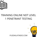 training Liquid Penetrant Testing Level 1