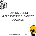 training Excel Basic Intermediate Advanced